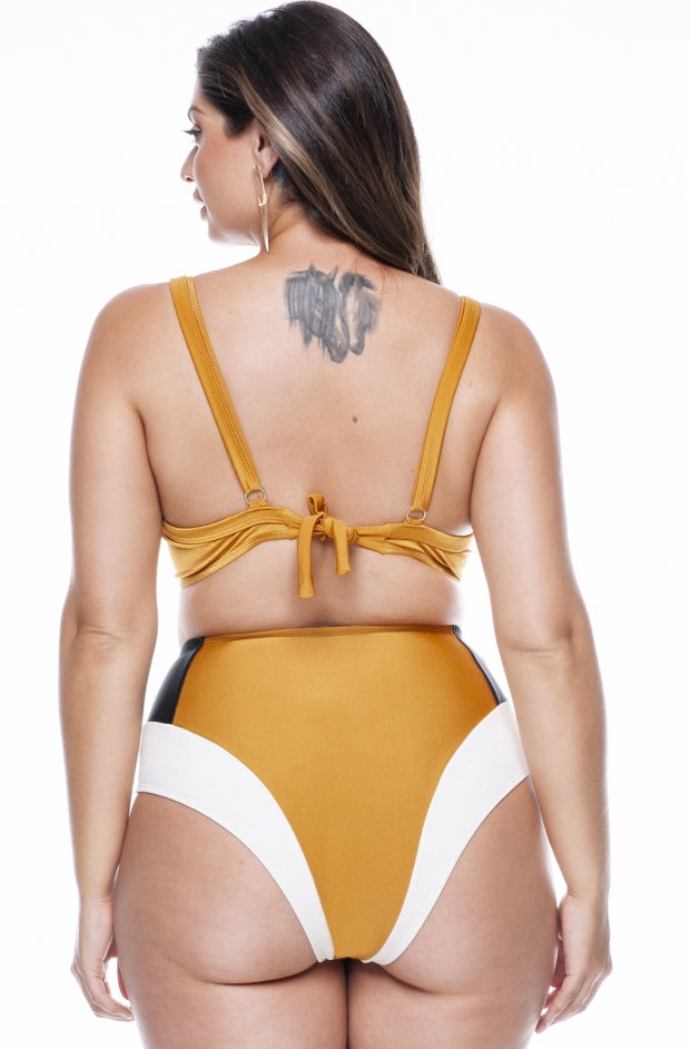 Brazilian Bikini Hot Pant Plus Size in Three Colors - LEHONA
